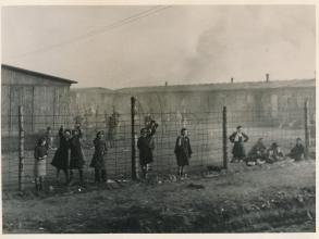 the womens camp at bergen belsen at liberation